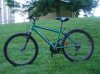 bike7.JPG