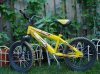 bike9.JPG