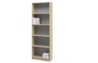 Bookcase.JPG