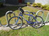 DSCN9246.JPG