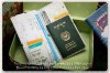 507.Long Passport case Steam-$30 detail.jpg