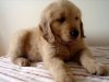 DSC03186.JPG