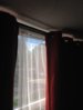 IMG_4281.JPG