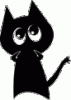 105219300.gif