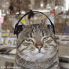 4.gif