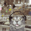 10.gif