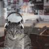 1187793591_506703.gif