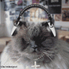 1187793644_982467.gif