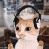 1187793708_845692.gif