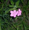 照片5 145.jpg