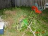 DSC01569.jpg