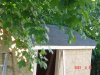 DSC01606.jpg