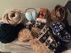 2015-03-08 17.13.46.jpg