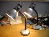 Gooseneck lamps.JPG