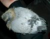 2008 July 22 038.jpg