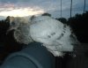 2008 July 22 034.jpg
