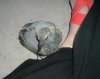 2008 July 22 017.jpg