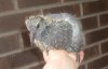 2008 July 23 040.jpg