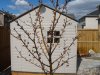 DSC01362.JPG