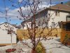 DSC01364.JPG