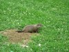 IMG_0269.JPG