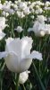 20150517_185234.jpg