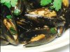 mussel.jpg