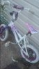 20150704_205705.jpg