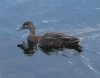 IMG_0470.JPG