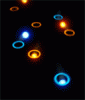 caise150.gif