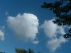 8月13日 星期三 晴 Britania park & Andrew park 032.jpg