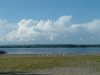 8月13日 星期三 晴 Britania park & Andrew park 048.jpg