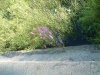 8月13日 星期三 晴 Britania park & Andrew park 068.jpg