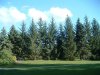 8月13日 星期三 晴 Britania park & Andrew park 108.jpg