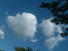 棉花糖gif.gif