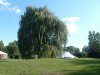 8月13日 星期三 晴 Britania park & Andrew park 079.jpg