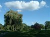 8月13日 星期三 晴 Britania park & Andrew park 086.jpg