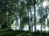 8月13日 星期三 晴 Britania park & Andrew park 089.jpg