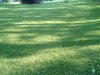 8月13日 星期三 晴 Britania park & Andrew park 093.jpg