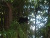 8月13日 星期三 晴 Britania park & Andrew park 008.jpg