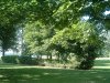 8月13日 星期三 晴 Britania park & Andrew park 011.jpg