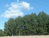 8月13日 星期三 晴 Britania park & Andrew park 019.jpg