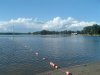 8月13日 星期三 晴 Britania park & Andrew park 023.jpg