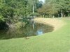 8月13日 星期三 晴 Britania park & Andrew park 120.jpg