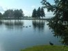8月13日 星期三 晴 Britania park & Andrew park 126.jpg