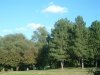 8月13日 星期三 晴 Britania park & Andrew park 129.jpg