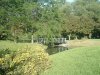 8月13日 星期三 晴 Britania park & Andrew park 130.jpg