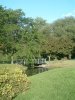 8月13日 星期三 晴 Britania park & Andrew park 131.jpg