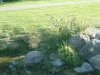 8月13日 星期三 晴 Britania park & Andrew park 137.jpg