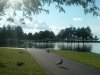8月13日 星期三 晴 Britania park & Andrew park 147.jpg